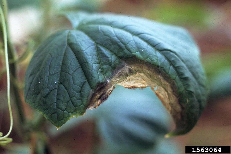 image019 image019